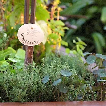 Отель & Restaurant Bergschloesschen Muncheberg